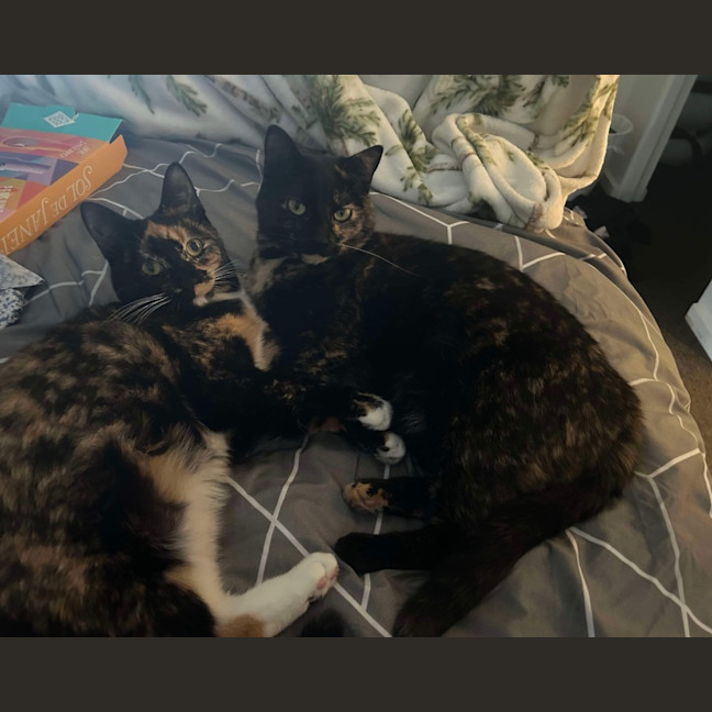 Photo of Duchess & Marie 👑🎀