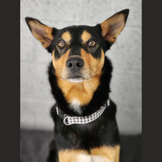 Photo of 🥜 Peanut 6978 🥜