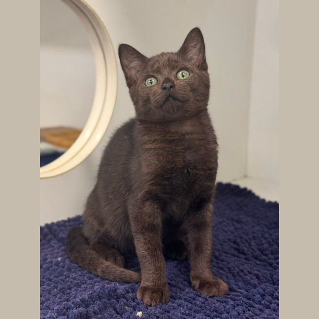 Photo of Billie 