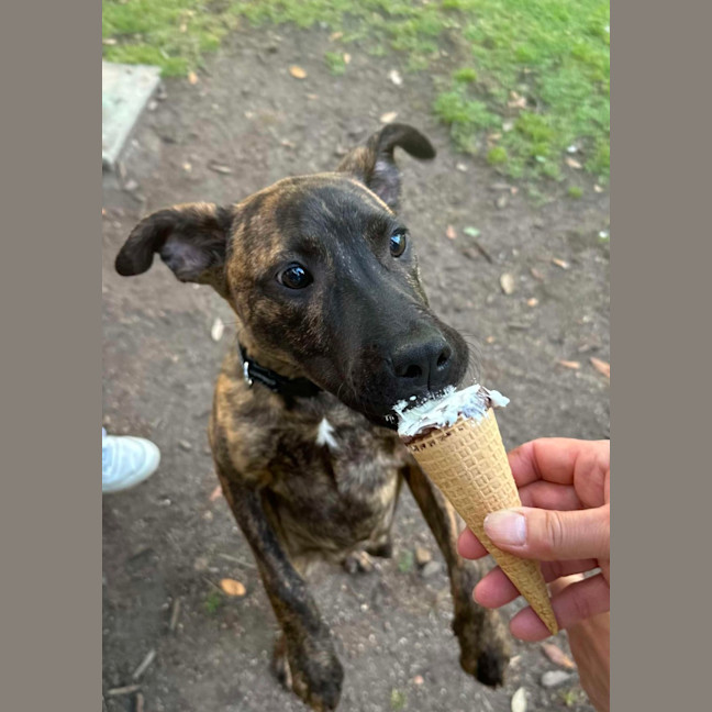 Photo of Scoobie 