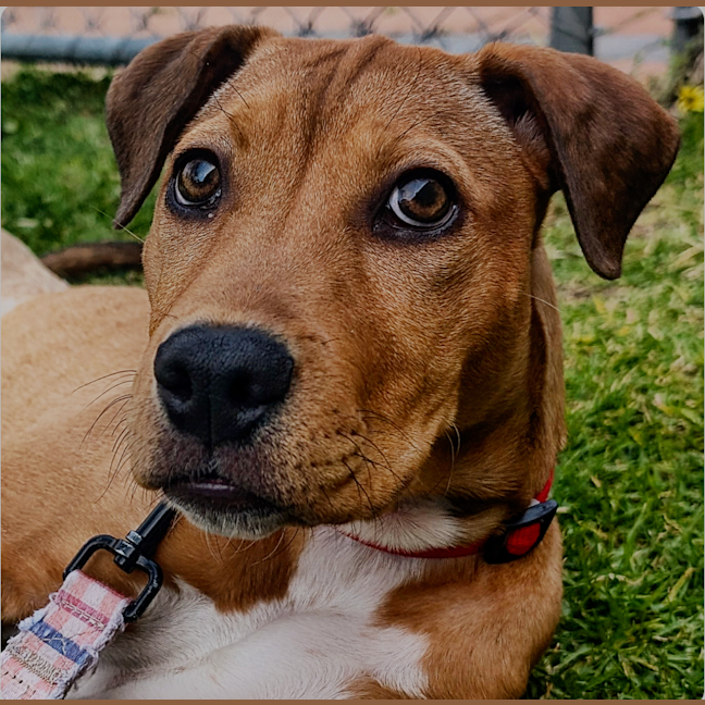 Photo of Betsy