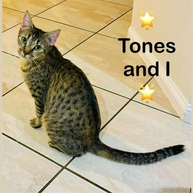 Photo of Tones And I