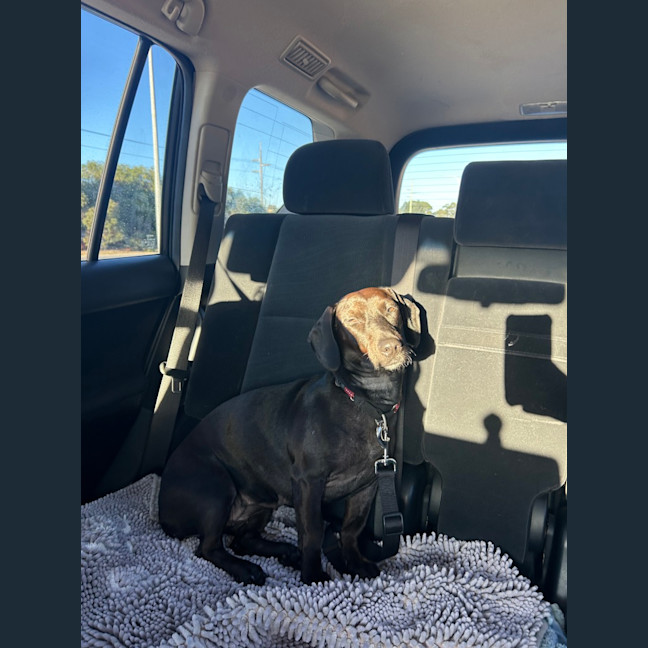 Photo of Roxy