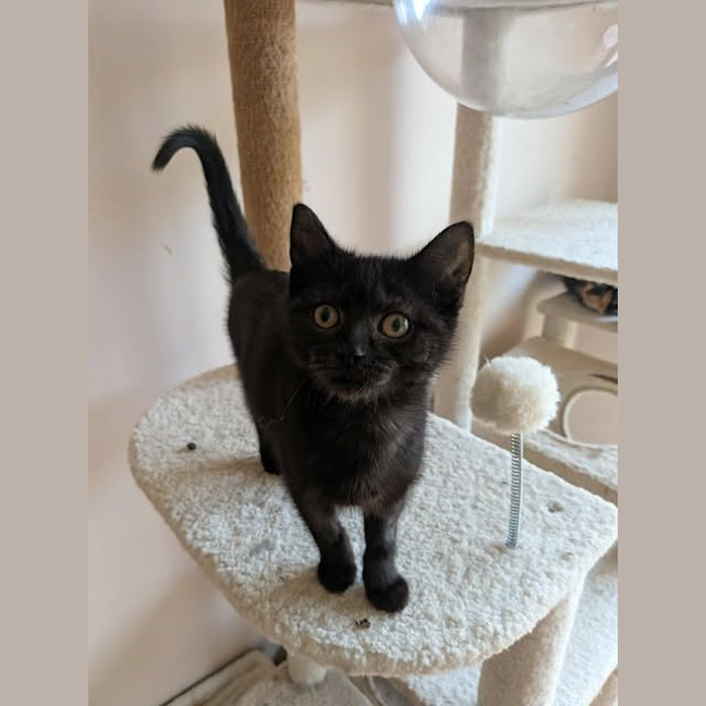 Photo of Fifi