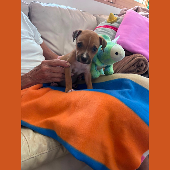 Photo of Buddy