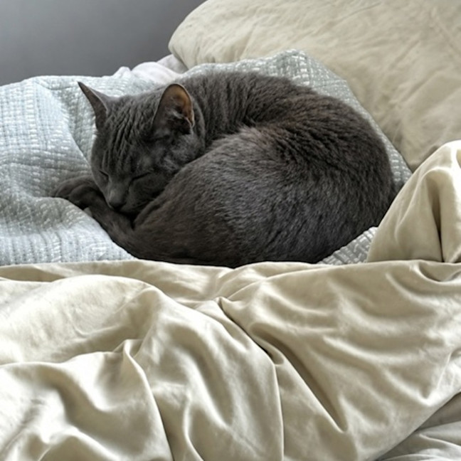 Photo of Dream