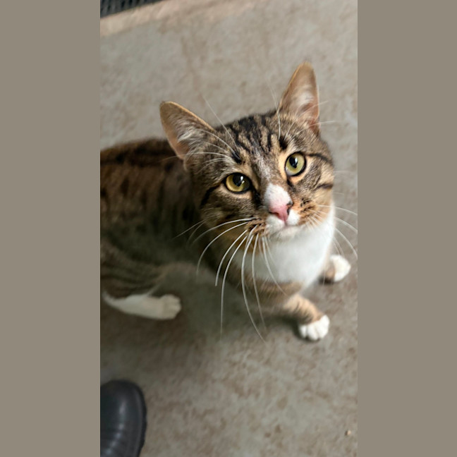 Photo of Wonton