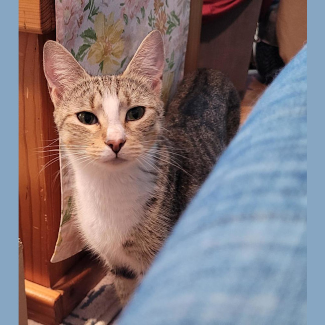 Photo of Belle
