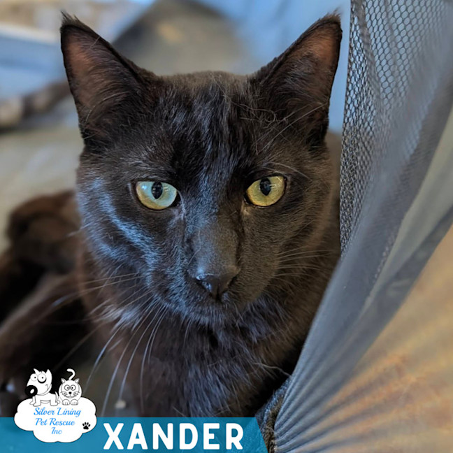 Photo of Xander