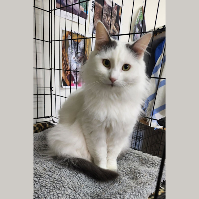 Photo of Jamilla Aka Milla