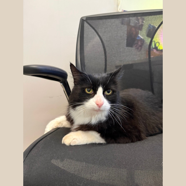 Photo of 🐧 Oscar 7113 🐧
