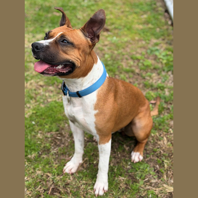Photo of Bingo