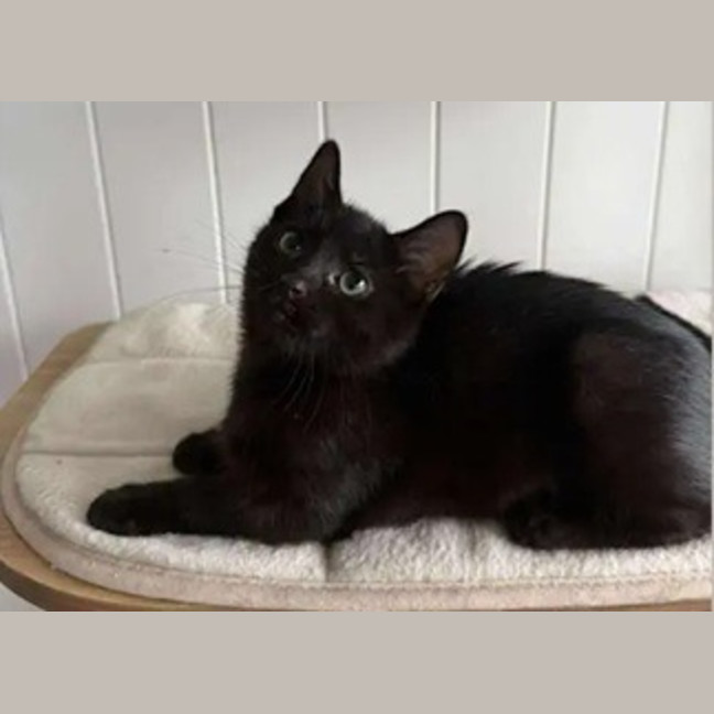 Photo of Laverne