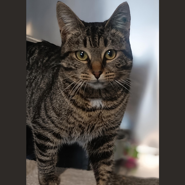Photo of Barnaby