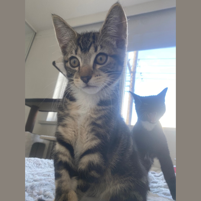 Photo of Tig Sanderson