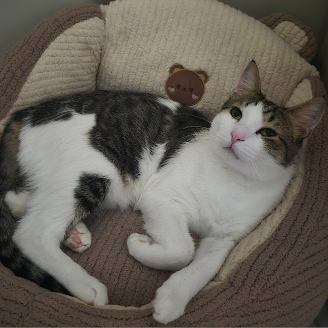 Photo of Leo