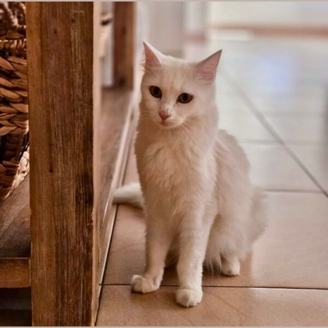 Photo of Lilly