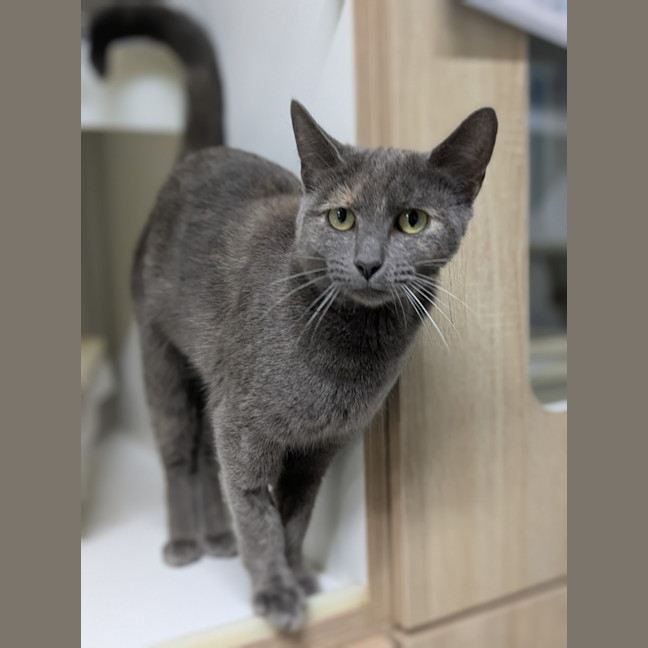 Photo of 🎓 Switch 5950 🎓