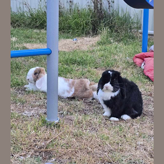 Photo of Aluna & Abby