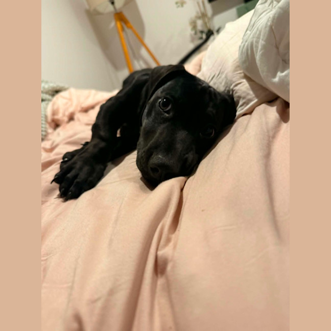 Photo of Maverick 