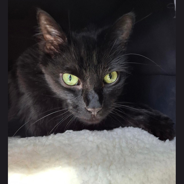 Photo of Zachary Binks