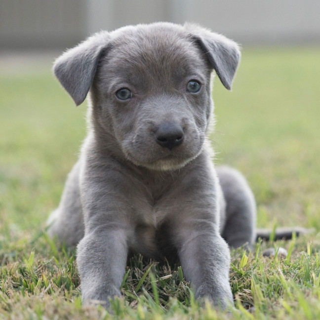 Photo of Storm