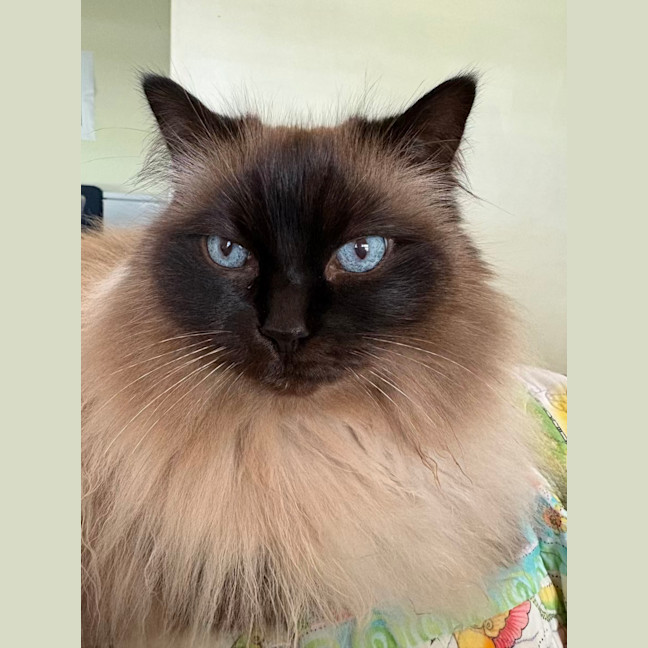 Photo of Kiki