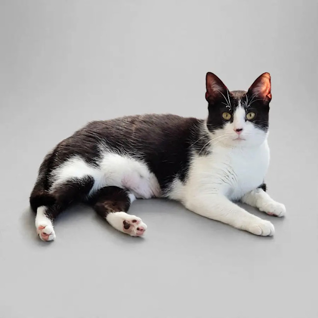 Photo of Kiki