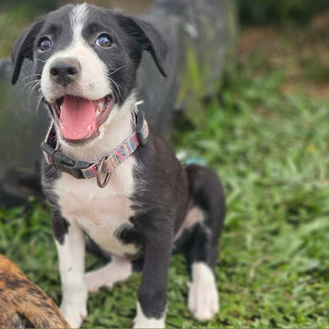 Photo of Torrah