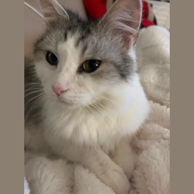 Photo of Hattie