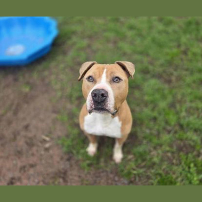 Photo of Tyson