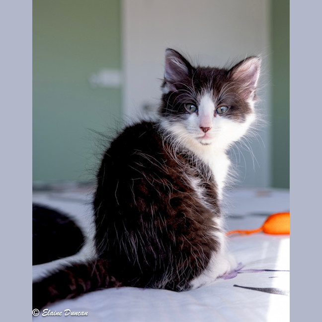 Photo of Maggie