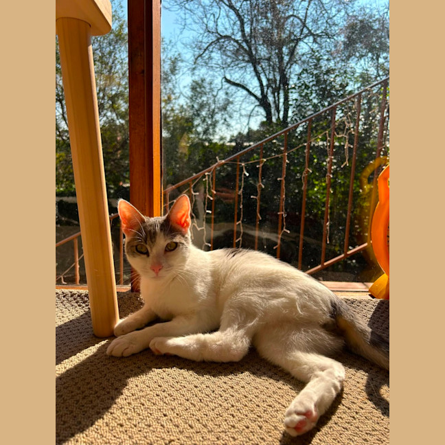 Photo of Billy