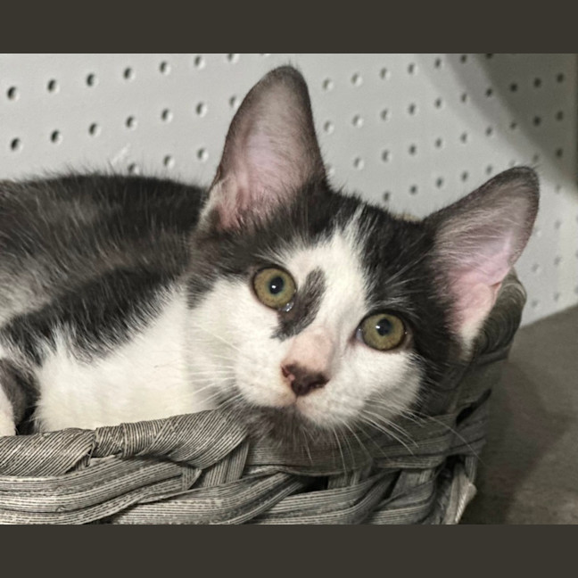 Photo of Kaleb 🧵😻