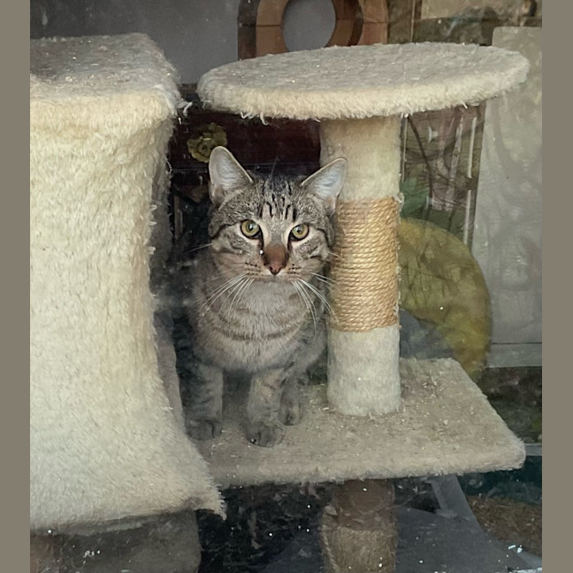 Photo of Kevin