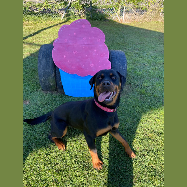 Photo of Cora