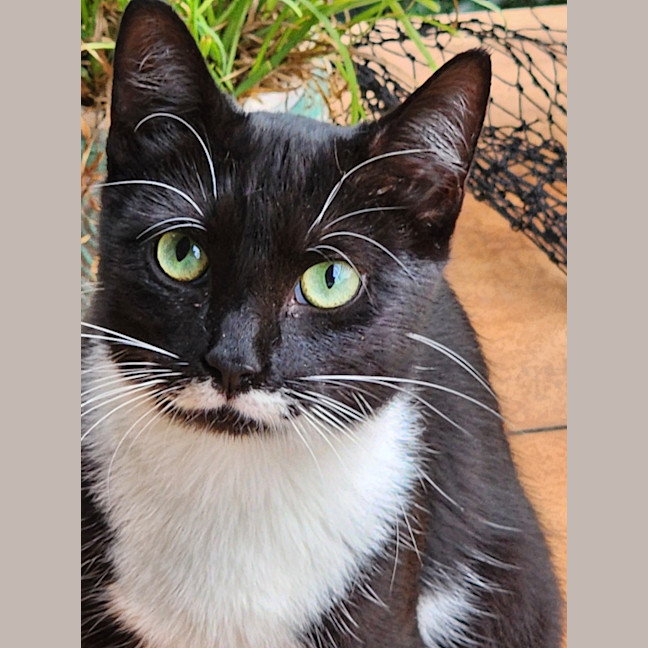 Photo of Maggie