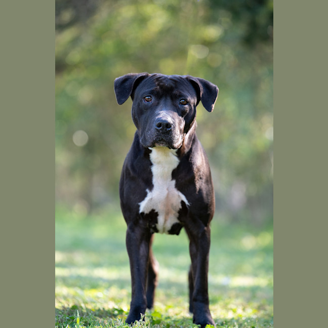 Photo of Roxy