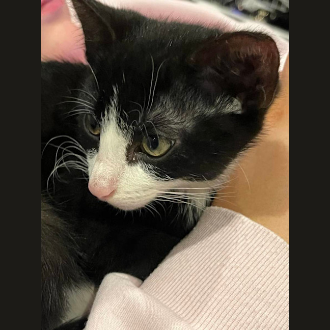 Photo of Jinx