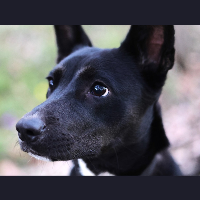 Photo of Sally