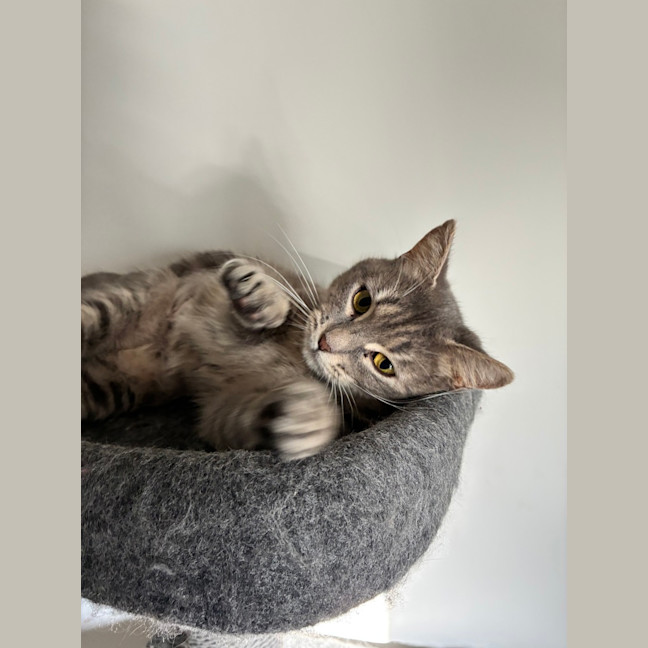 Photo of Molly 
