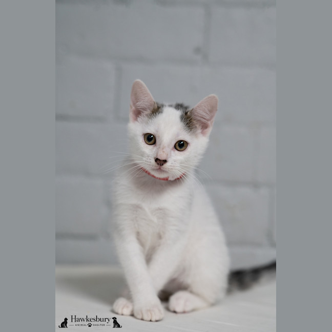 Photo of Fred