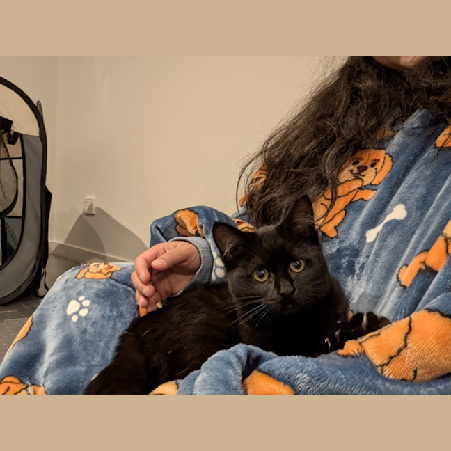 Photo of Dora