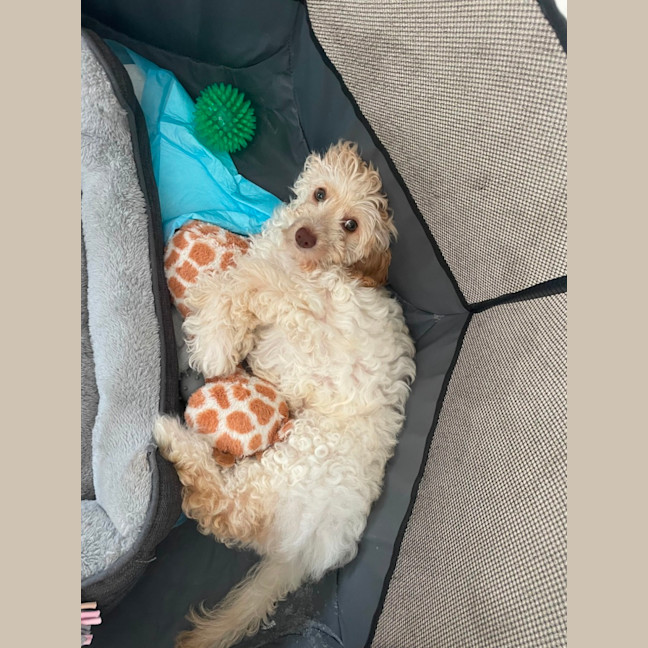 Photo of Mash