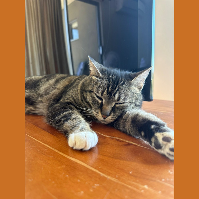 Photo of Boots