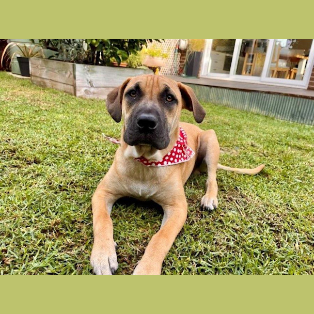 Photo of Liam O’cleary