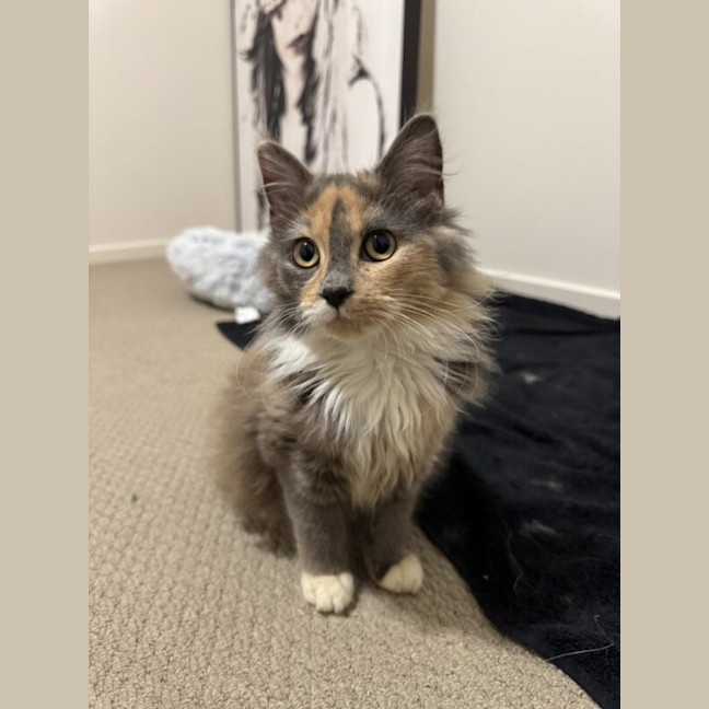 Photo of Hazel