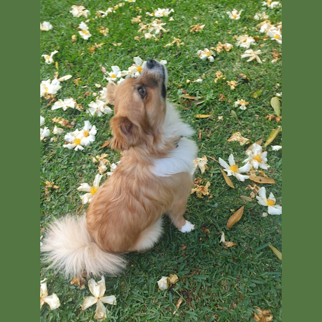 Photo of Lili