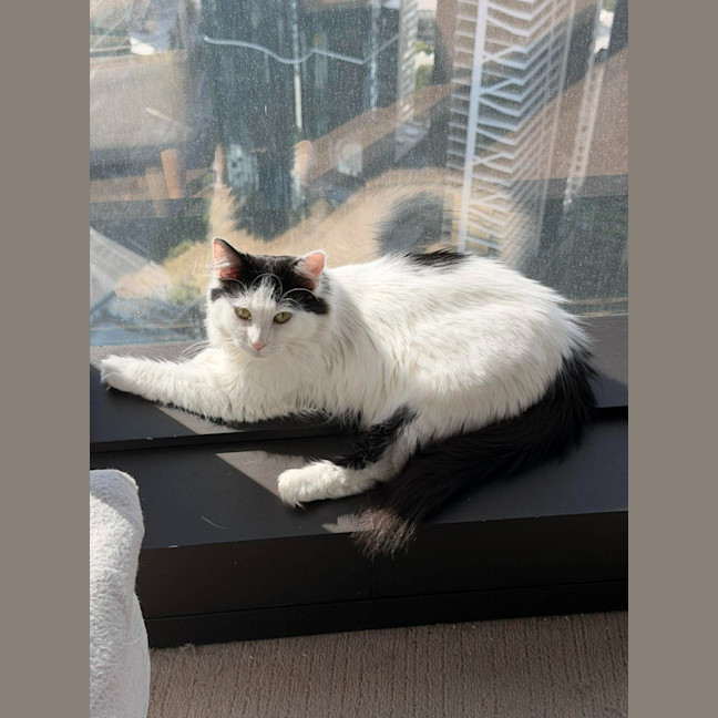 Photo of Wanda
