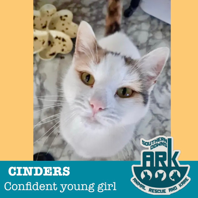 Photo of Cinders